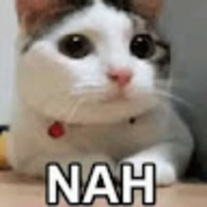 Meet your Posher, Roberto